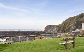 Seal View